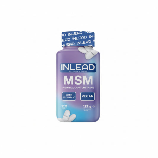 INLEAD MSM + Vitamins 120 Kapseln - Verpackungseinheit