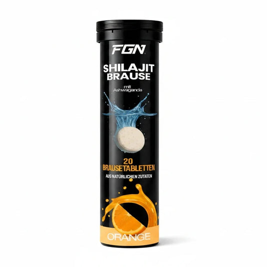 FGN Shilajit 20 Brausetabletten