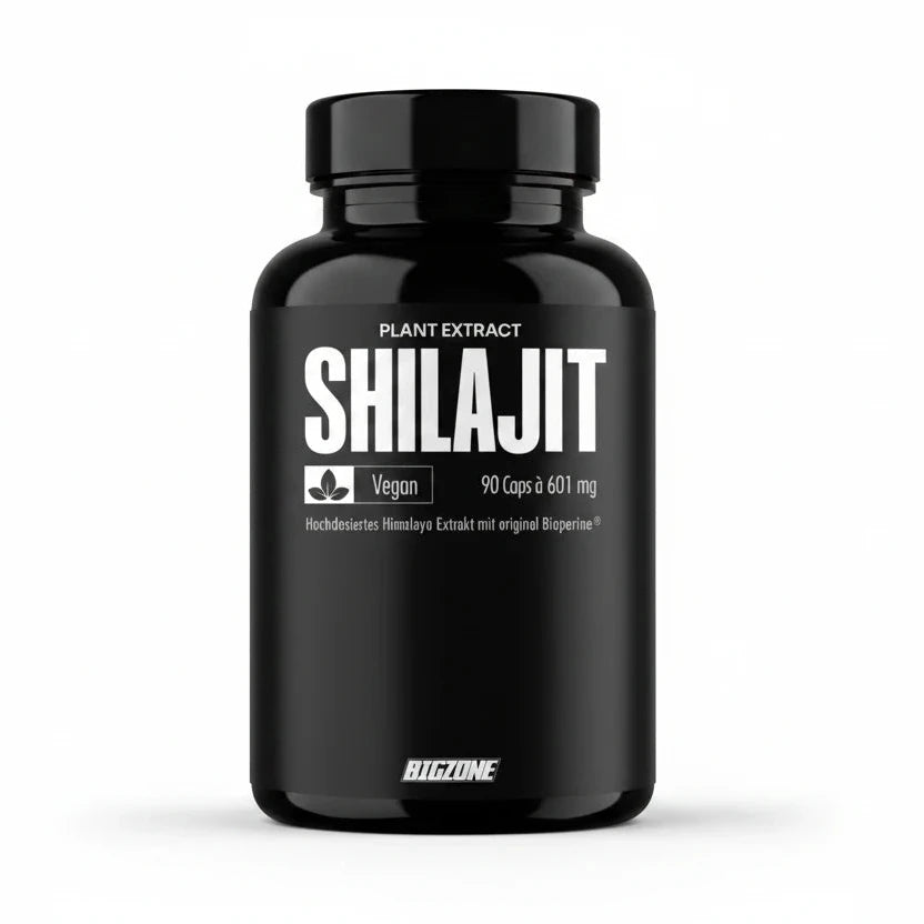 Big Zone Shilajit 90 Kapseln